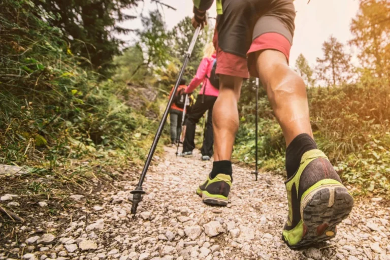 Group Hiking along a Forest Trail.