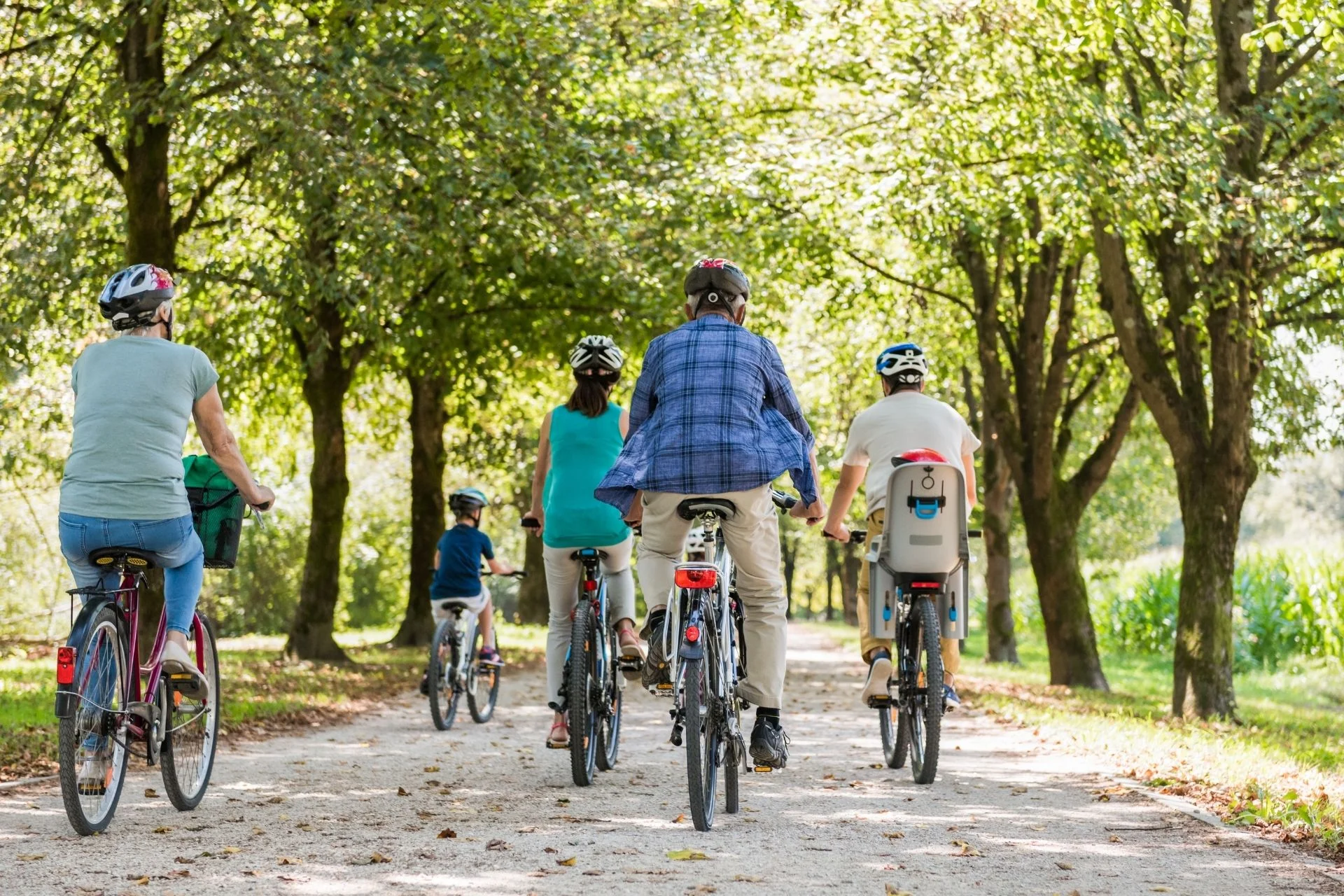 Leisure Cycling along a woodland trail.
