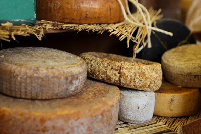 Mature cheese wheels at a market festival.