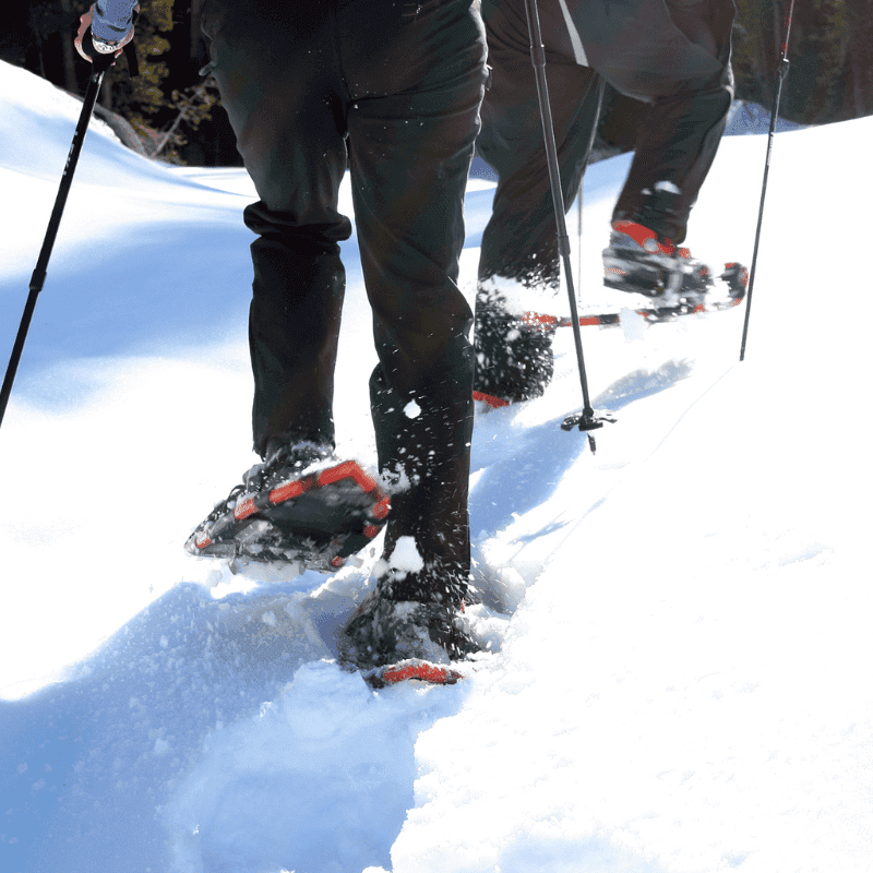 Snow shoeing.