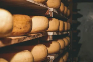Traditional Cheese Wheels Aging on Wooden Shelves.