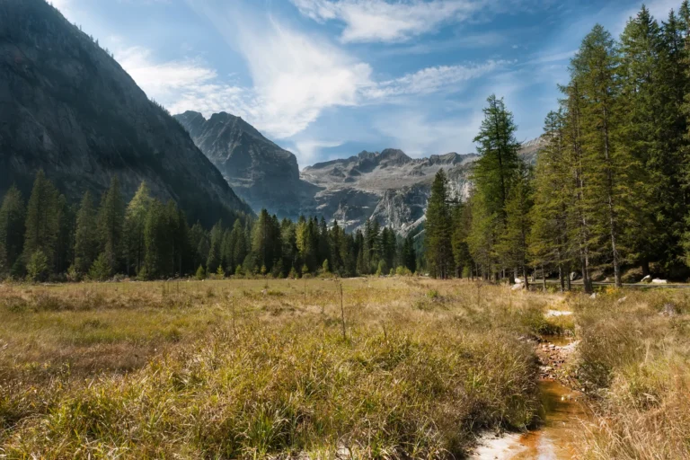 Adamello-Presanella forest, Genova valley.