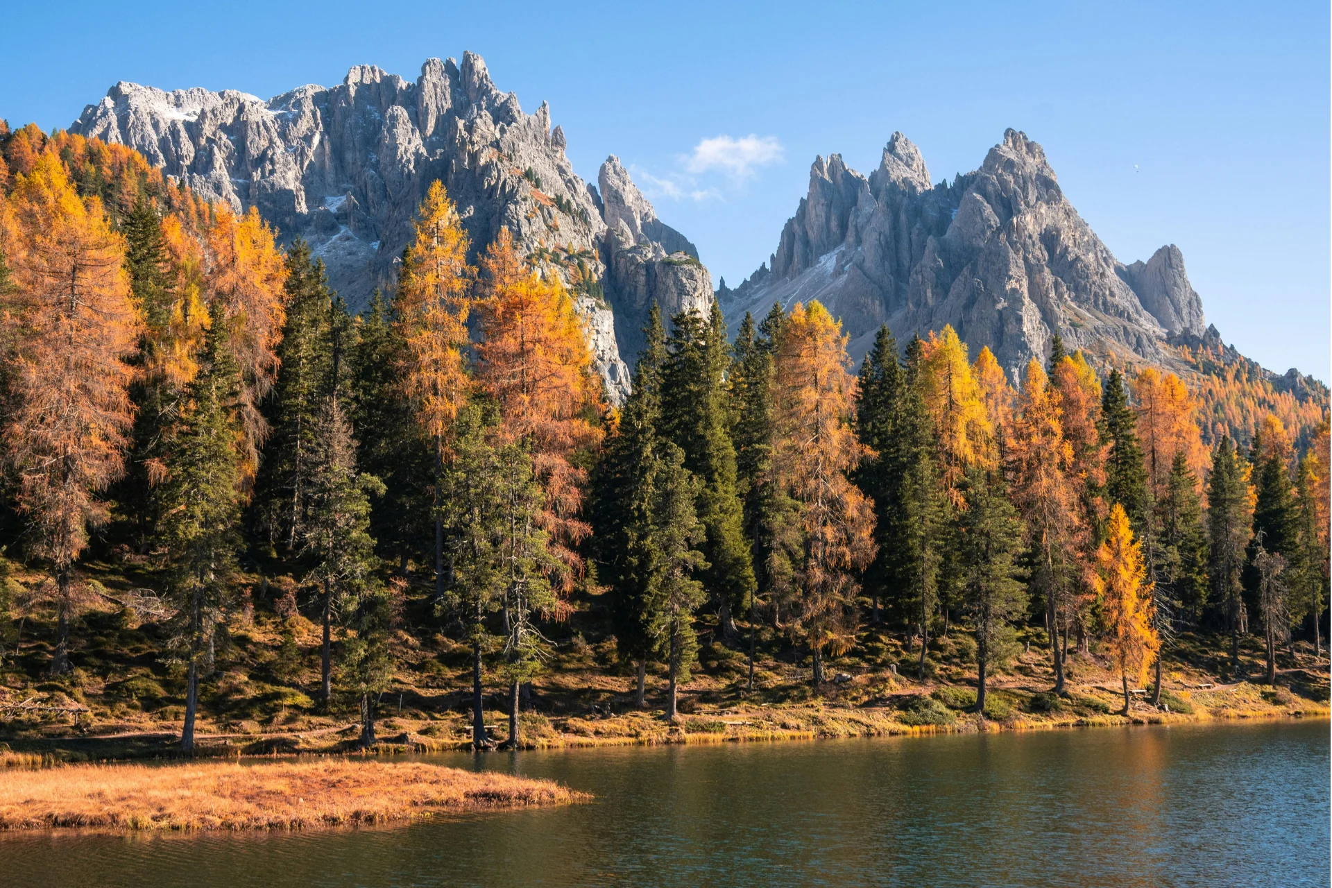 Dolomites in autumn with golden larch trees.