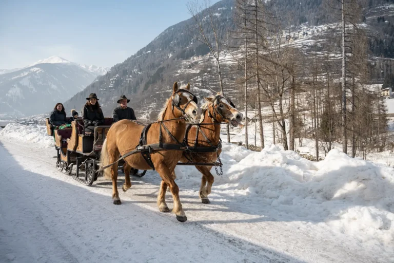Horse sledding at agriturismo Bontempelli in Pellizzano.