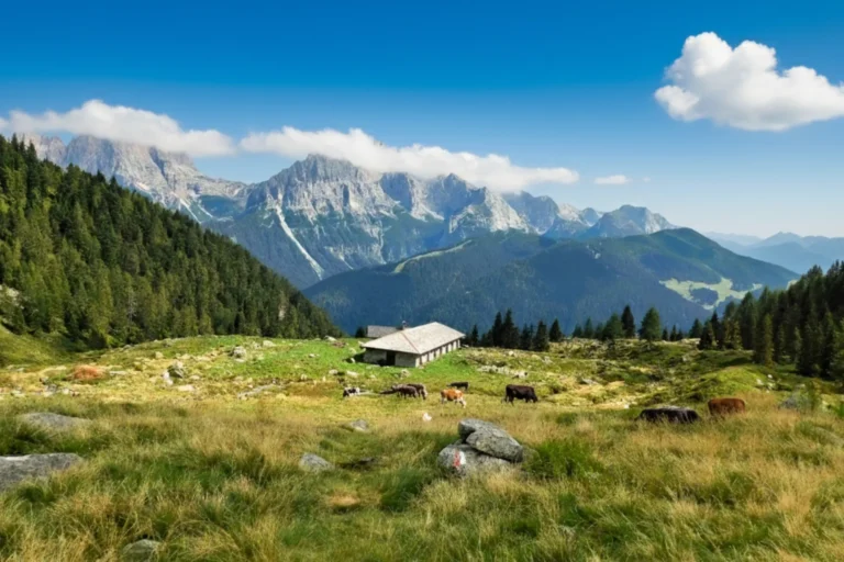 Malga Valchestria with some grazing cows between Madonna di Campiglio and Pinzolo.