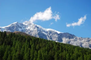 Ortler in the Vinschgau.