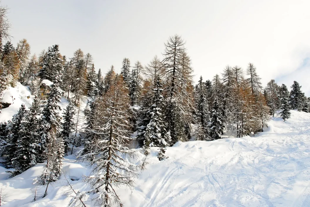 Ski Run in Val Gardena.