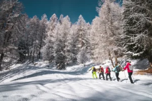 Snowshoeing in Val di Pejo.