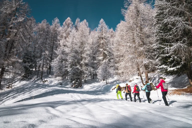 Snowshoeing in Val di Pejo.