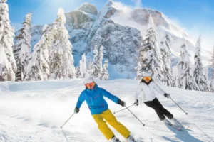 Two skiers enjoying some time on the slopes.